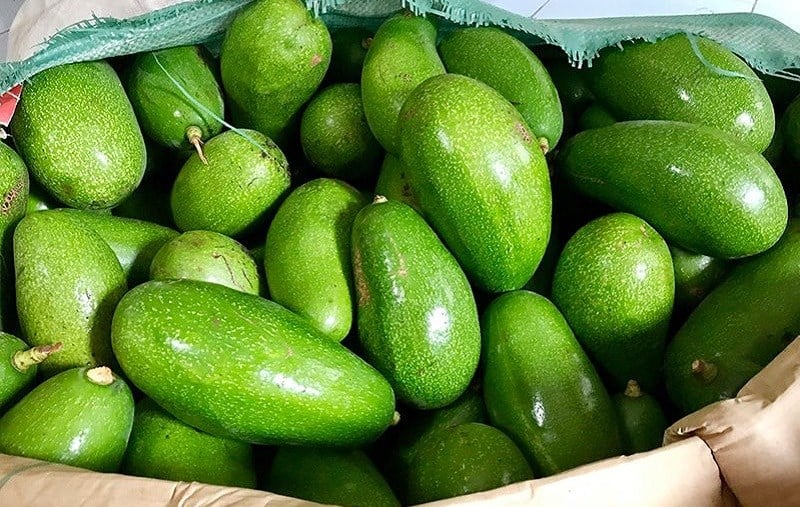 Bơ sáp có mấy loại? Cách phân biệt bơ sáp và bơ nước