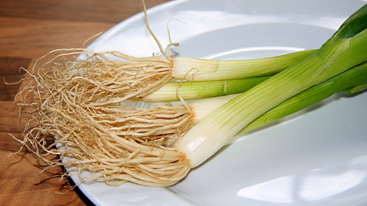 Sự khác biệt hành lá và hành tây