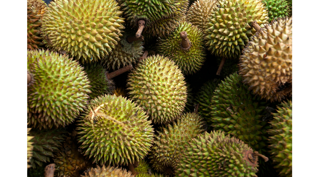 Bị tiểu đường có nên ăn sầu riêng không ?