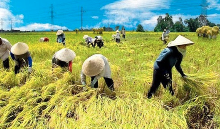 Điều kiện tự nhiên thuận lợi để phát triển nền nông nghiệp nhiệt đới?