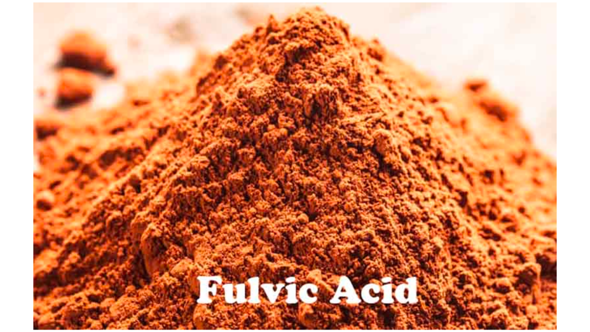 Lợi ích của  Axit Fulvic và cách sử dụng?