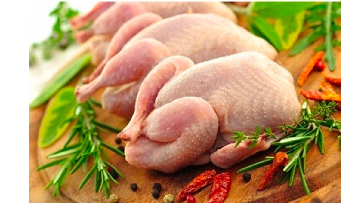 Ăn thịt vịt có tác dụng gì đối với sức khoẻ và có gây béo không?