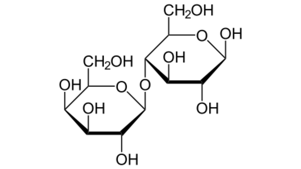 Lactose là gì? Vai trò của Lactose đối với cơ thể