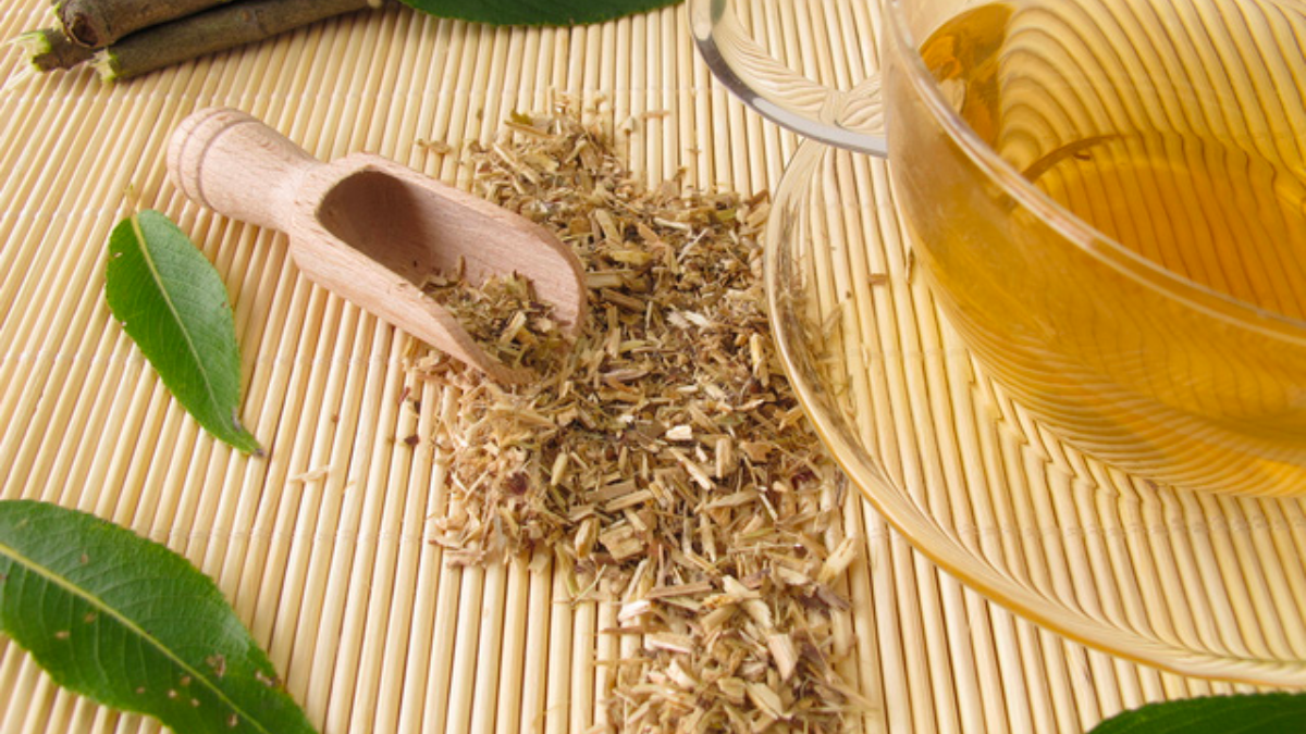 Vỏ liễu có tác dụng gì theo như kinh nghiệm dân gian?