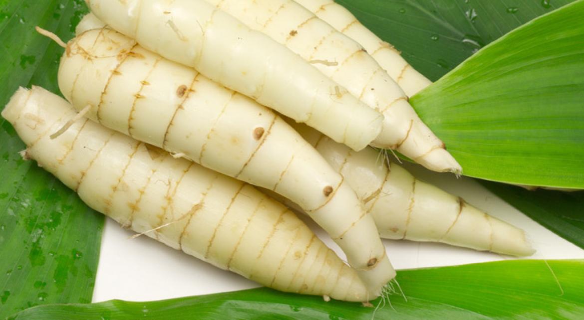 Khoai dong trắng (củ dong)