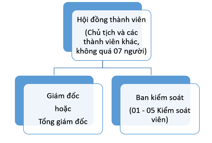 Sơ đồ tổ chức doanh nghiệp là gì? Mẫu sơ đồ tổ chức doanh nghiệp mới nhất 2022