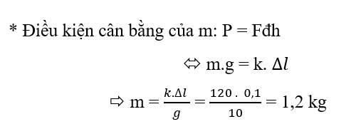 Lực đàn hồi là gì? Lực đàn hồi của lò xo? Định luật Húc?