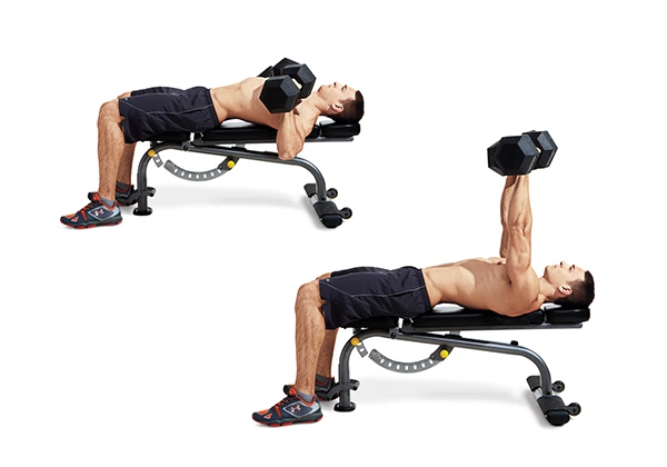Hướng dẫn cách tập tạ tay đúng cách