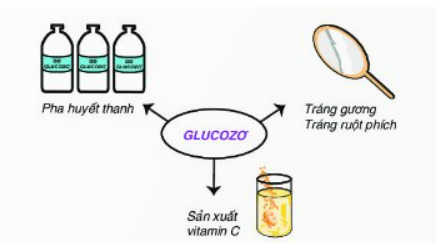 Glucozo là gì? Công thức, cấu tạo, tính chất hóa học và ứng dụng của glucozo
