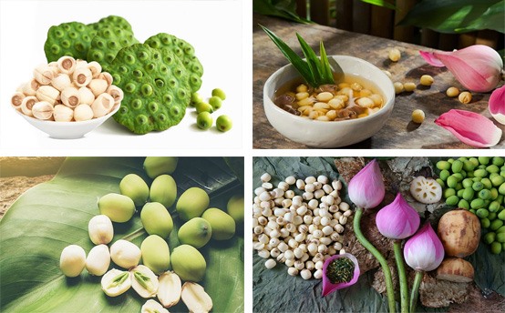 Ăn hạt sen có tác dụng gì? Tác dụng của hạt sen đối với sức khỏe