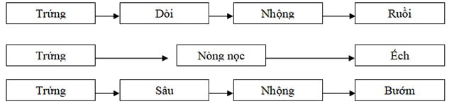 Đề cương ôn tập học kì 2 môn Khoa học lớp 5 mới nhất năm 2022 - 2023