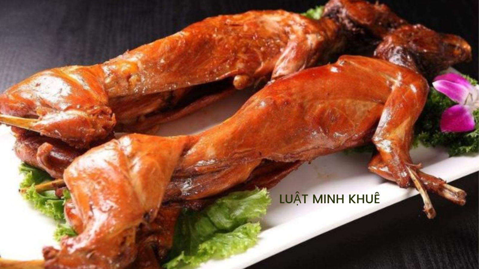 Thịt thỏ làm món gì ngon? Những món từ thịt thỏ thơm ngon, hấp dẫn