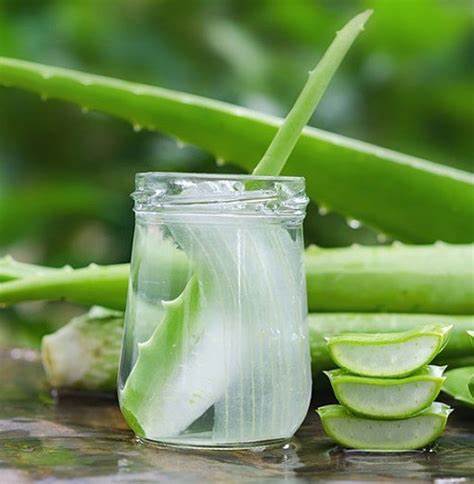 Cách chế biến nha đam thành các món thanh mát giải nhiệt mùa hè