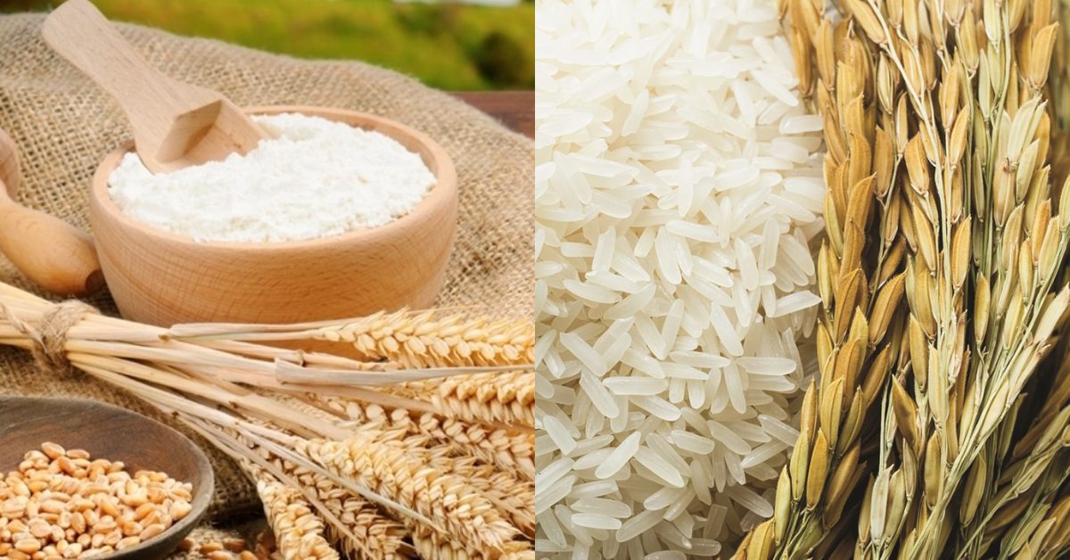 Tổng hợp 17 nguồn thực phẩm giàu protein tốt nhất cho người ăn chay
