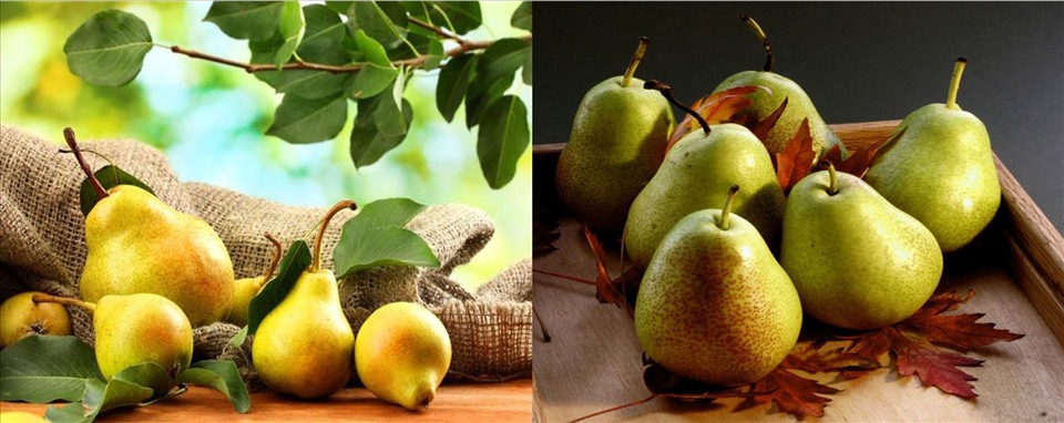 Các công dụng của quả lê đối với sức khoẻ
