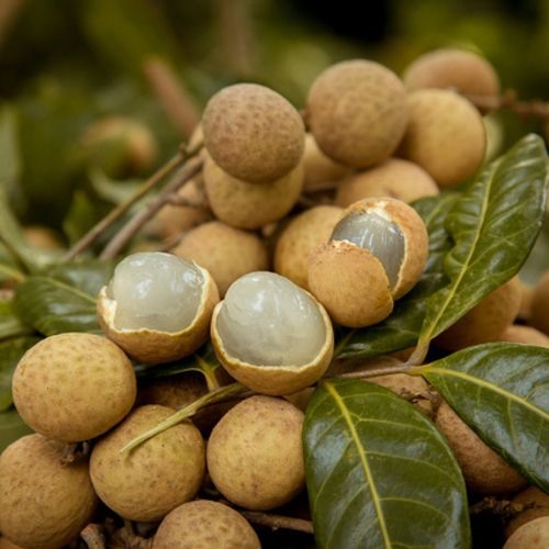 Quả nhãn ăn có tốt cho bà bầu không?