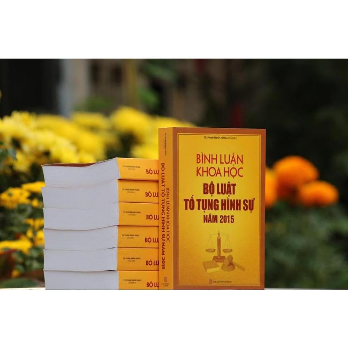 Sách Bình luận khoa học Bộ Luật Tố Tụng Hình Sự 2015