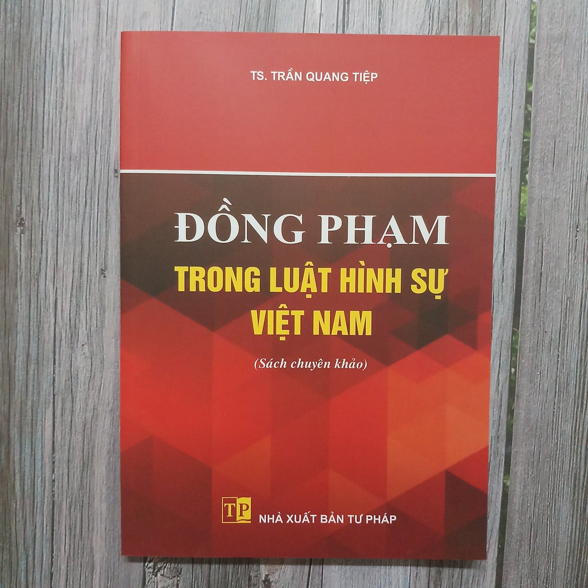 Sách Đồng phạm trong luật hình sự Việt Nam (TS. Trần Quang Tiệp)