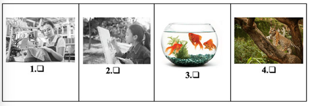 Đề thi học kì 2 môn Tiếng Anh 3 có đáp án sách Chân trời sáng tạo