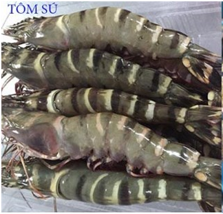 Tôm làm món gì ngon? Món ngon từ tôm hấp dẫn thơm ngon