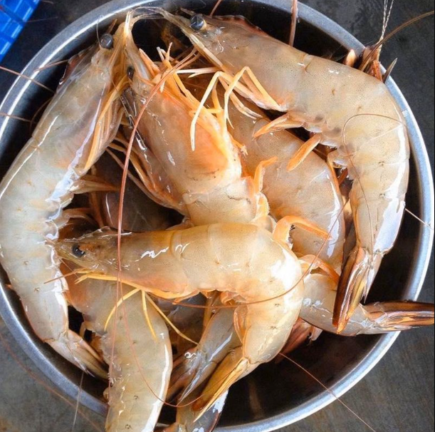 Tôm làm món gì ngon? Món ngon từ tôm hấp dẫn thơm ngon