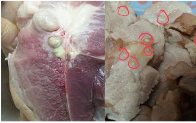 Tổng hợp các món ngon từ thịt lợn xay