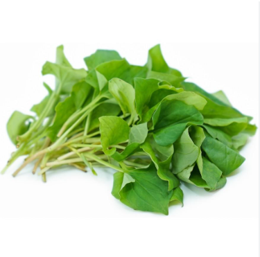 Cách xay diếp cá uống