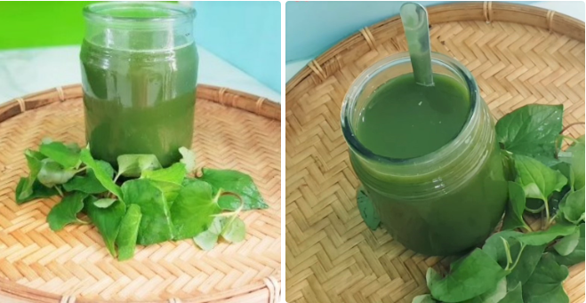Cách xay diếp cá uống