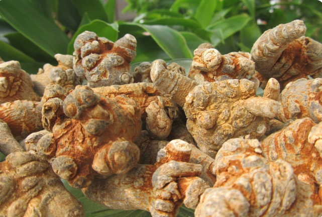 Tác dụng của tam thất