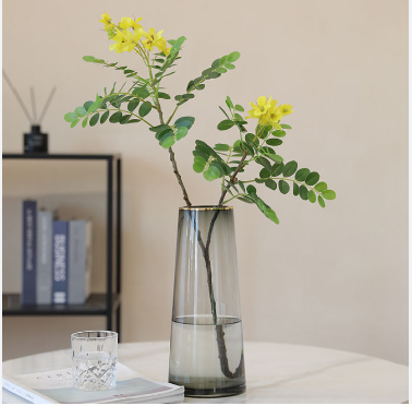 Tác dụng của cây hoa hòe