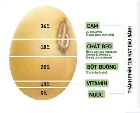 Lợi ích ấn tượng của hạt đậu nành
