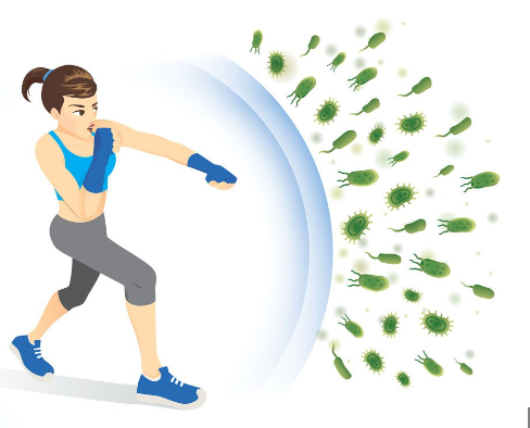 Lợi ích sức khỏe, chất dinh dưỡng của trà chanh gừng