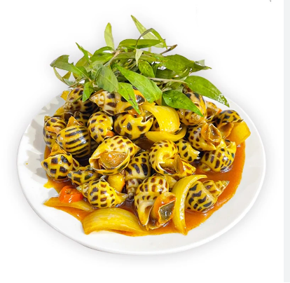 Những món ngon từ ốc hương