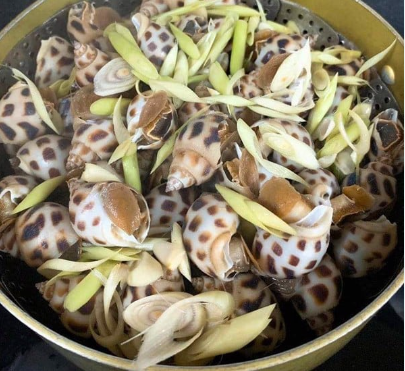 Những món ngon từ ốc hương
