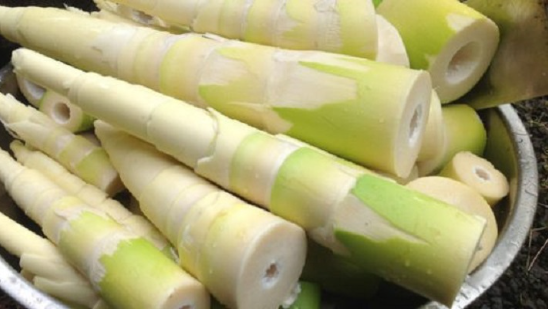 Chọn, luộc măng tươi như thế nào để không đắng, khử hết độc nhanh, ngon vô cùng