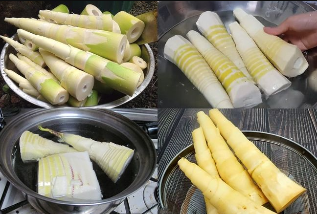 Chọn, luộc măng tươi như thế nào để không đắng, khử hết độc nhanh, ngon vô cùng