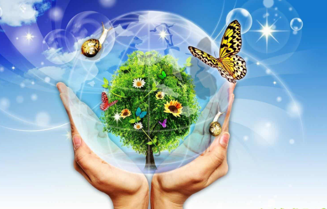 Gợi ý một số việc cho chủ đề "em đã làm gì để góp phần bảo tồn cảnh quan thiên nhiên?"