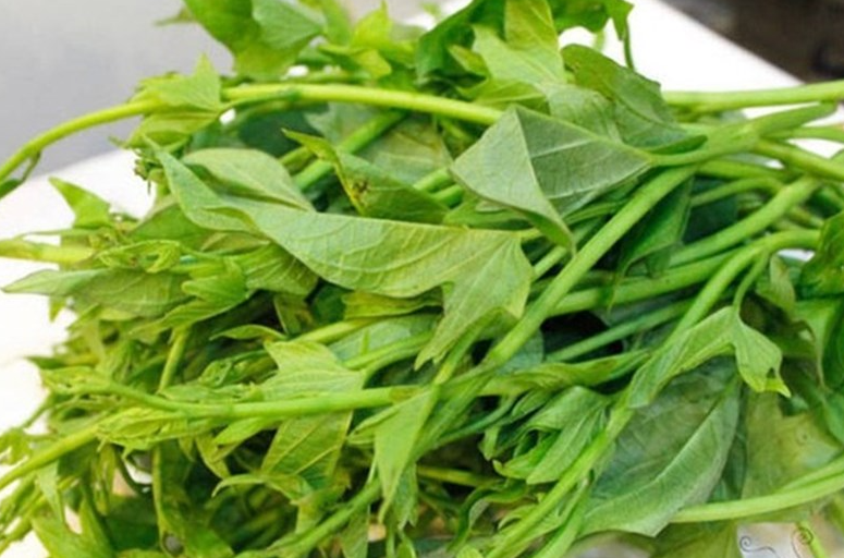 Các lợi ích của việc ăn rau khoai lang