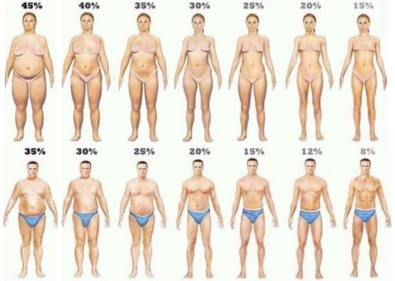 Tỷ lệ % mỡ cơ thể lý tưởng cho cơ thể
