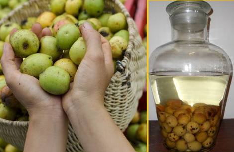 Tổng hợp cách làm trái cây ngâm rượu đậm đà hương vị thơm ngon bổ dưỡng