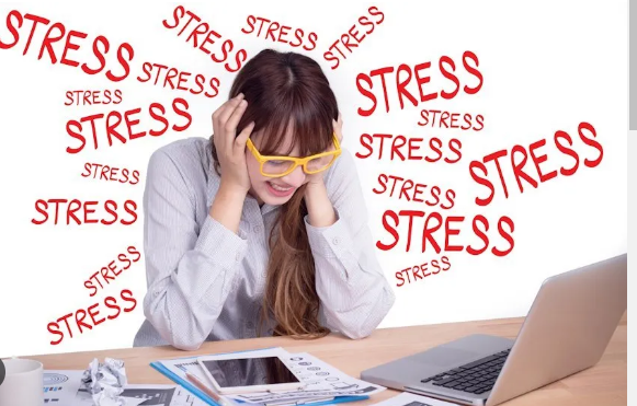 Danh sách những loại thực phẩm làm giảm stress
