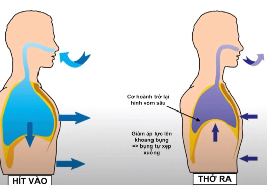 Vì sao trong chạy bền phải chú ý nhịp thở?