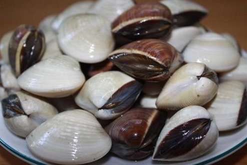 Cách chọn mua, làm sạch và bảo quản nghêu (ngao) sạch, an toàn