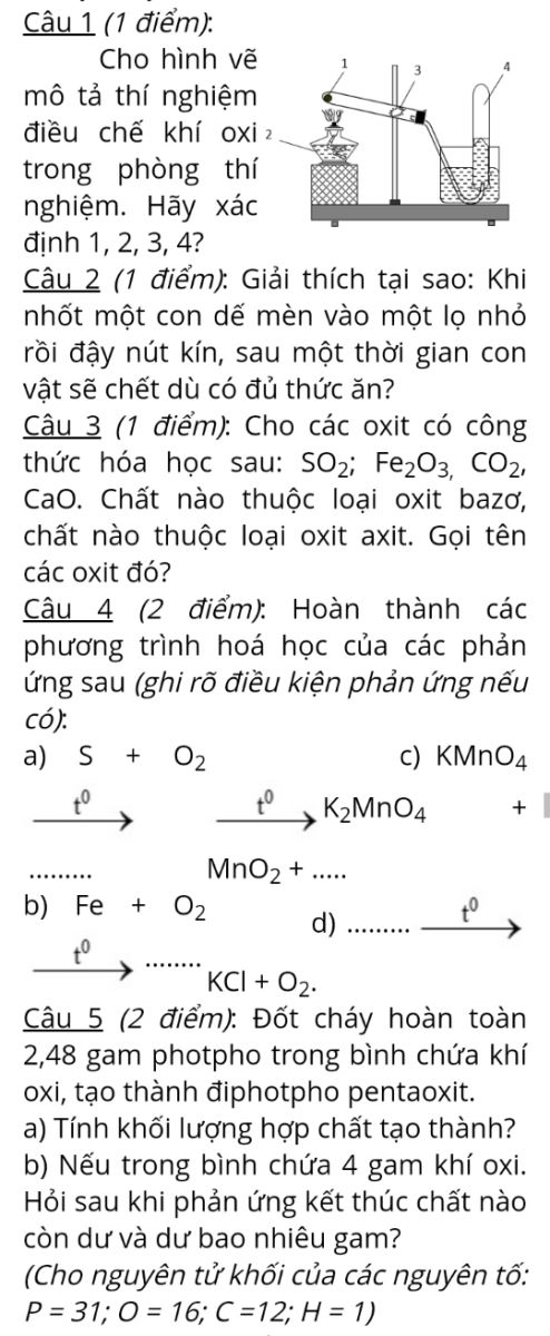 Bộ đề thi giữa học kì 2 lớp 8 có đáp án mới nhất năm 2022 - 2023