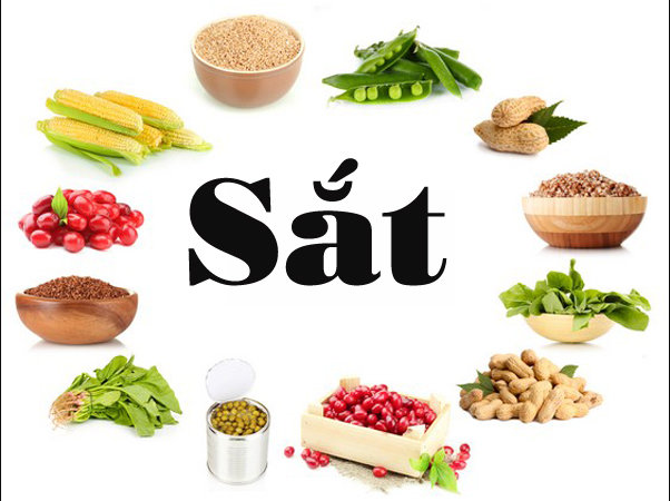 12 thực phẩm lành mạnh có nhiều chất sắt nhất