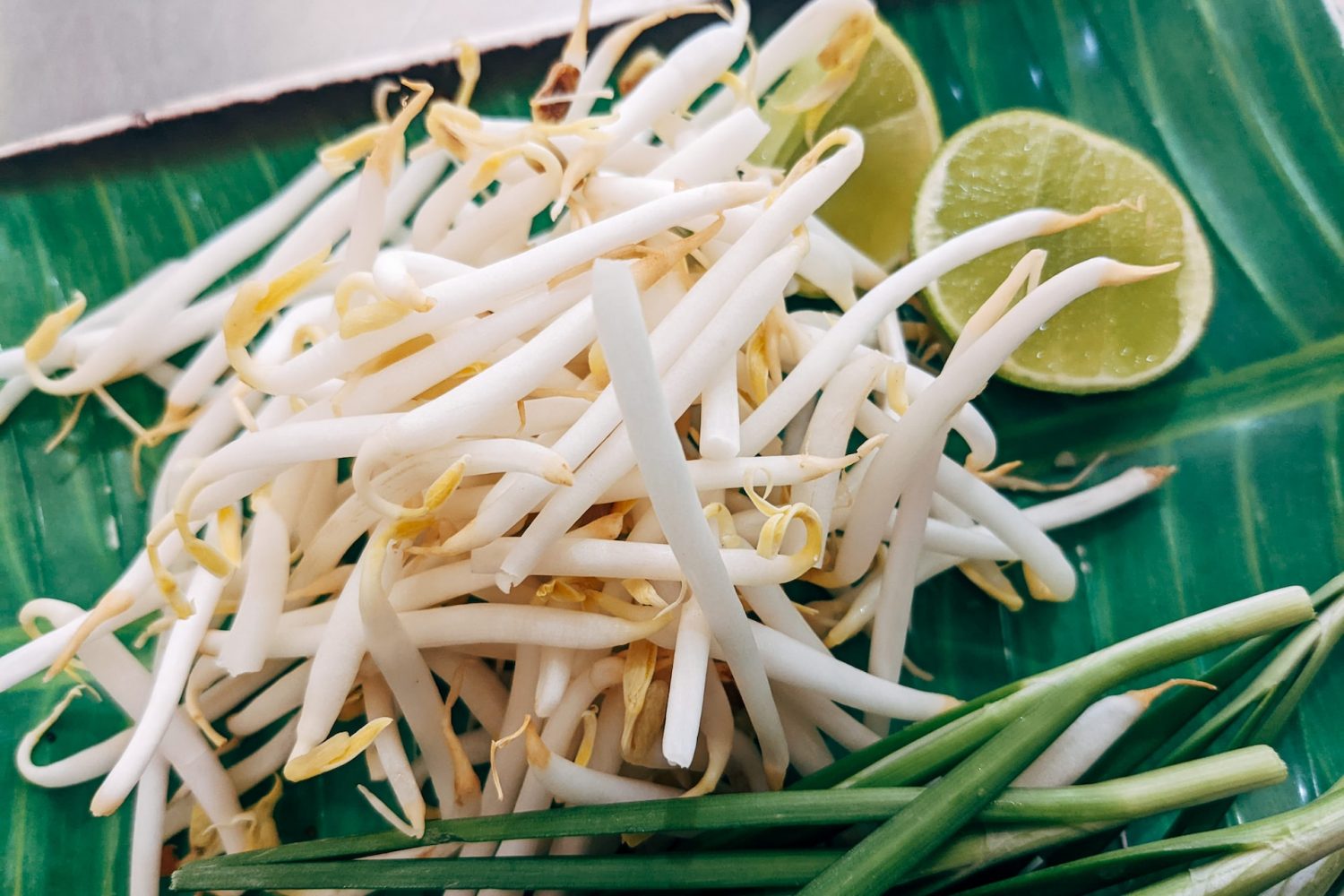 Cách làm giá đỗ mọc nhanh, tươi ngon, an toàn