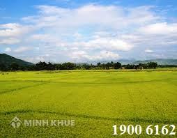 Tư vấn mức thuế, phí chuyển đổi mục đích sử dụng đất ?