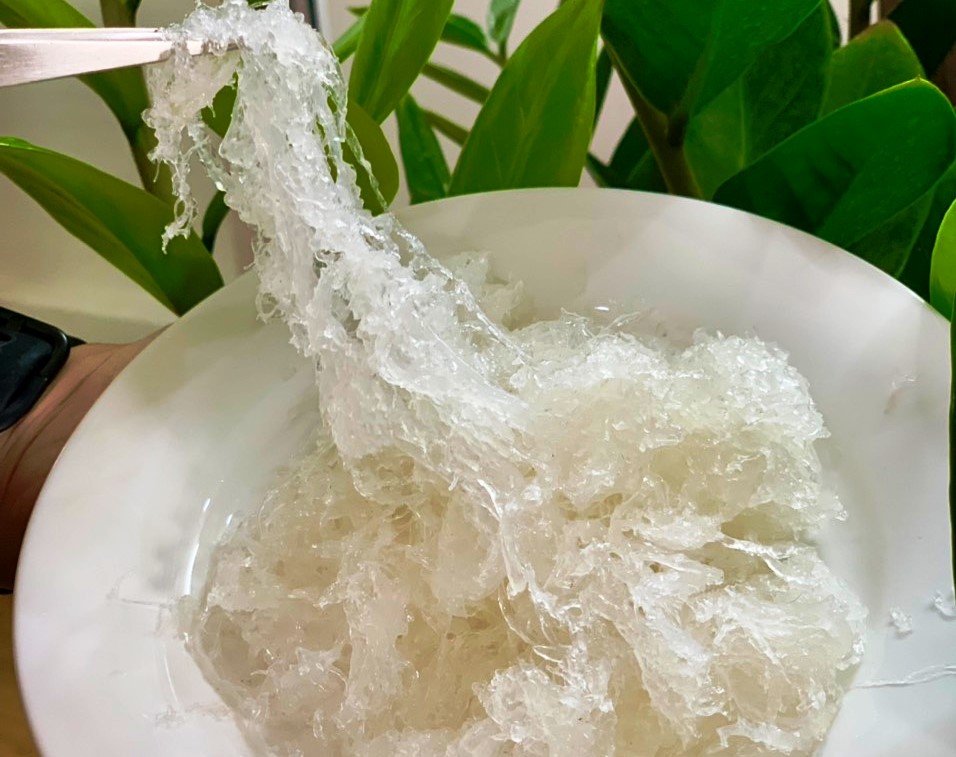 Bí quyết bảo quản tổ yến thô, yến tươi, yến chưa chưng và đã chưng dễ dàng, hiệu quả
