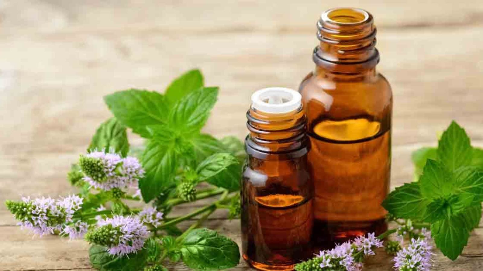 Tinh dầu hương nhu có tác dụng gì theo như kinh nghiệm dân gian?