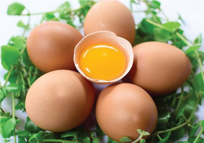 Trong trứng gà có lượng protein bao nhiêu?